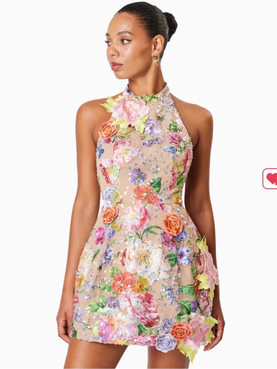Elliatt Dresses & Skirts - Elliatt Brown Halter Mini Dress with Multicolor Floral Embroidery